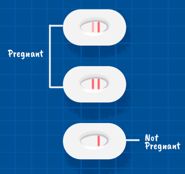 Les résultats du tests de grossesse